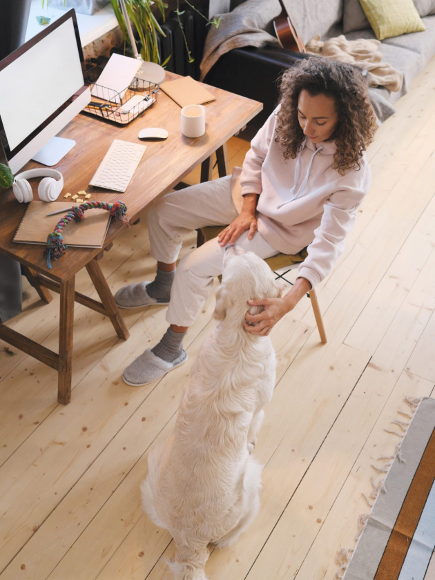 Weby pro všechny neziskové organizace zdarma